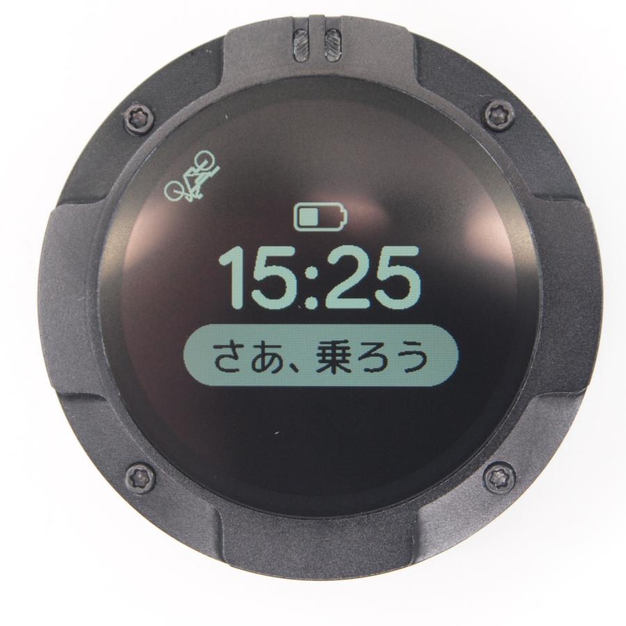 Navigation System BEELINE MOTO II for scooter/motorbike ベスパ