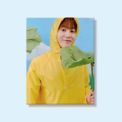 メンバー選択可] SEVENTEEN 公式グッズ HEAVEN 11TH MINI ALBUM CARAT