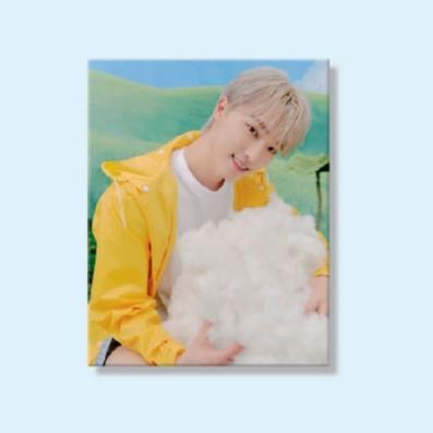 メンバー選択可] SEVENTEEN 公式グッズ HEAVEN 11TH MINI ALBUM CARAT