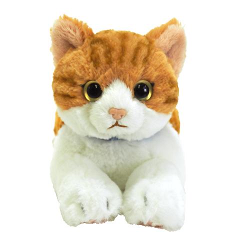 ぬいぐるみ　ひざねこ　Sサイズ　チャシロ　P-7822サンレモン｜mcodirect｜02