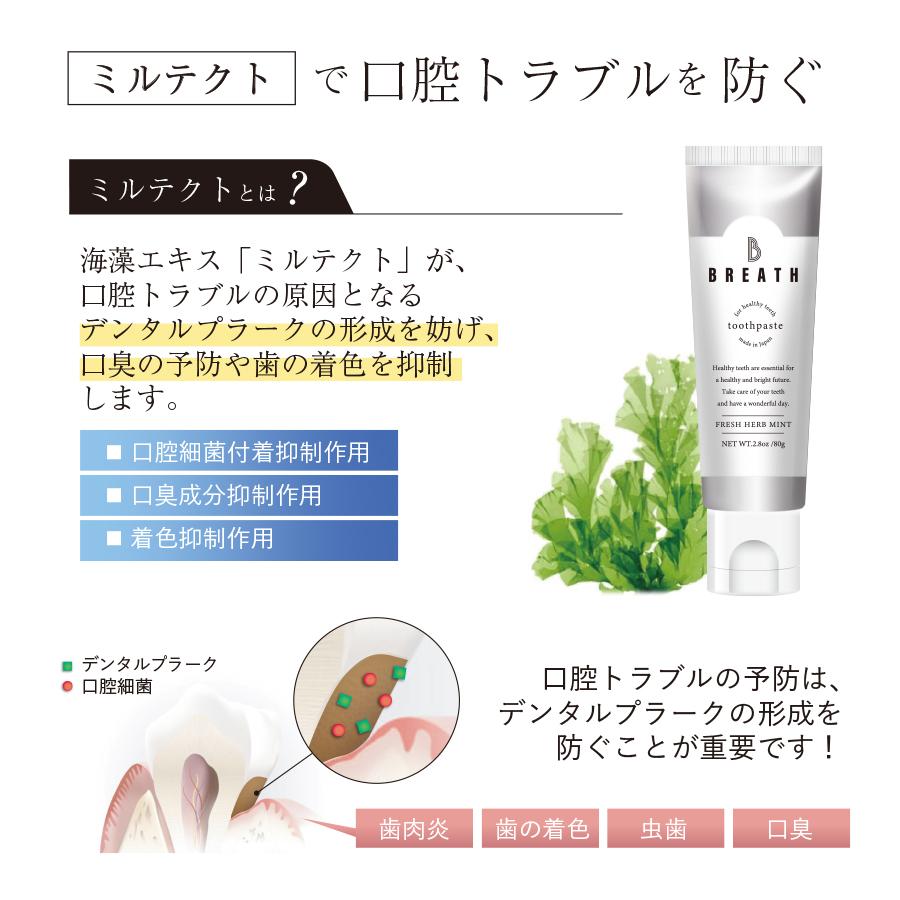 B BREATH ビーブレス トゥースパウダー フレッシュミントの香り 15g