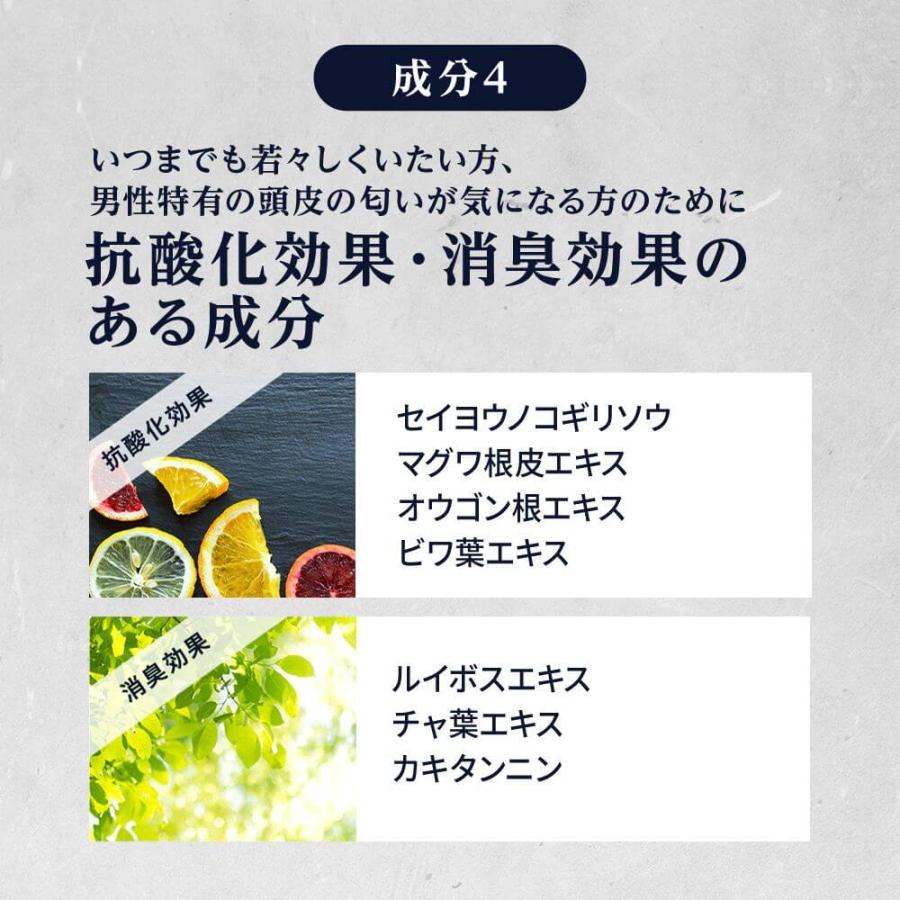 REDEN（リデン） 【まとめ買い】REDEN ハイブリッド シャンプー