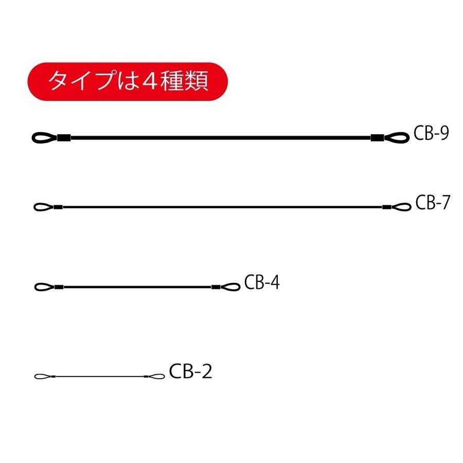 CB-2 ナンカイ キャブロック (ポケットタイプ) 盗難防止/バイク/南海部品取扱 | NANKAI | 03