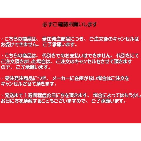 NTB-21 ナンカイ NANKAI ショートブーツ 牛革/オートバイ/日本製/送料無料 | NANKAI | 02
