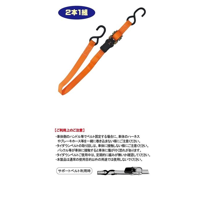 NANKAI（ナンカイ） NTW-2431 プッシュリフト||| ラチェット タイ