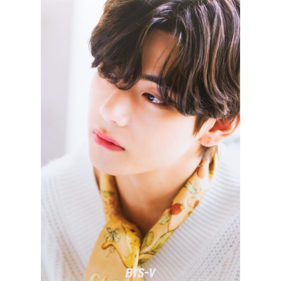 限定特典2点付き）防弾少年団 BTS テテ V（ポスター 12枚＋ビック 