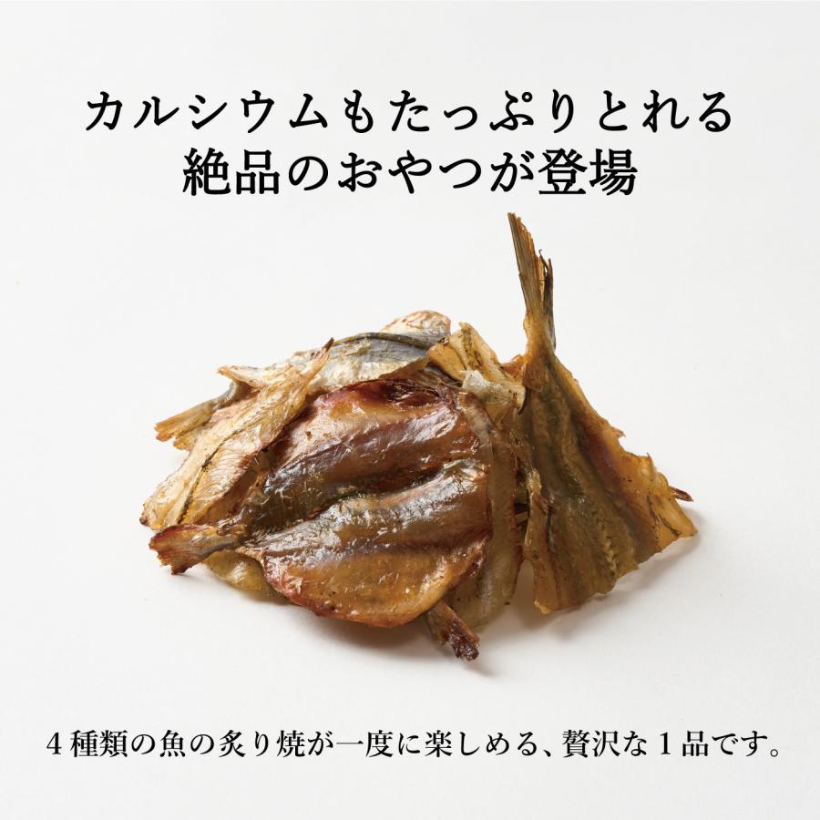 MDホールディングス おつまみ 珍味 海鮮 魚の炙り焼 魚の炙り焼 柚子