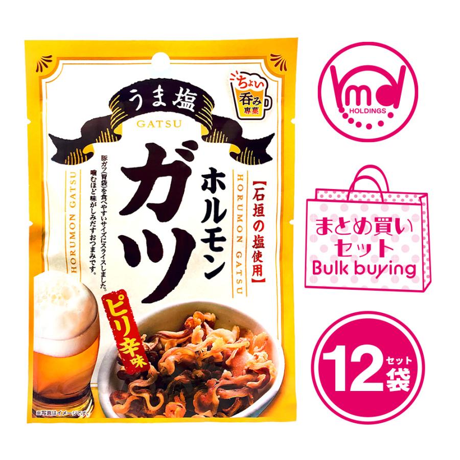 MDホールディングス おつまみ 宅呑み ホルモン 塩 ガツ お菓子 12袋