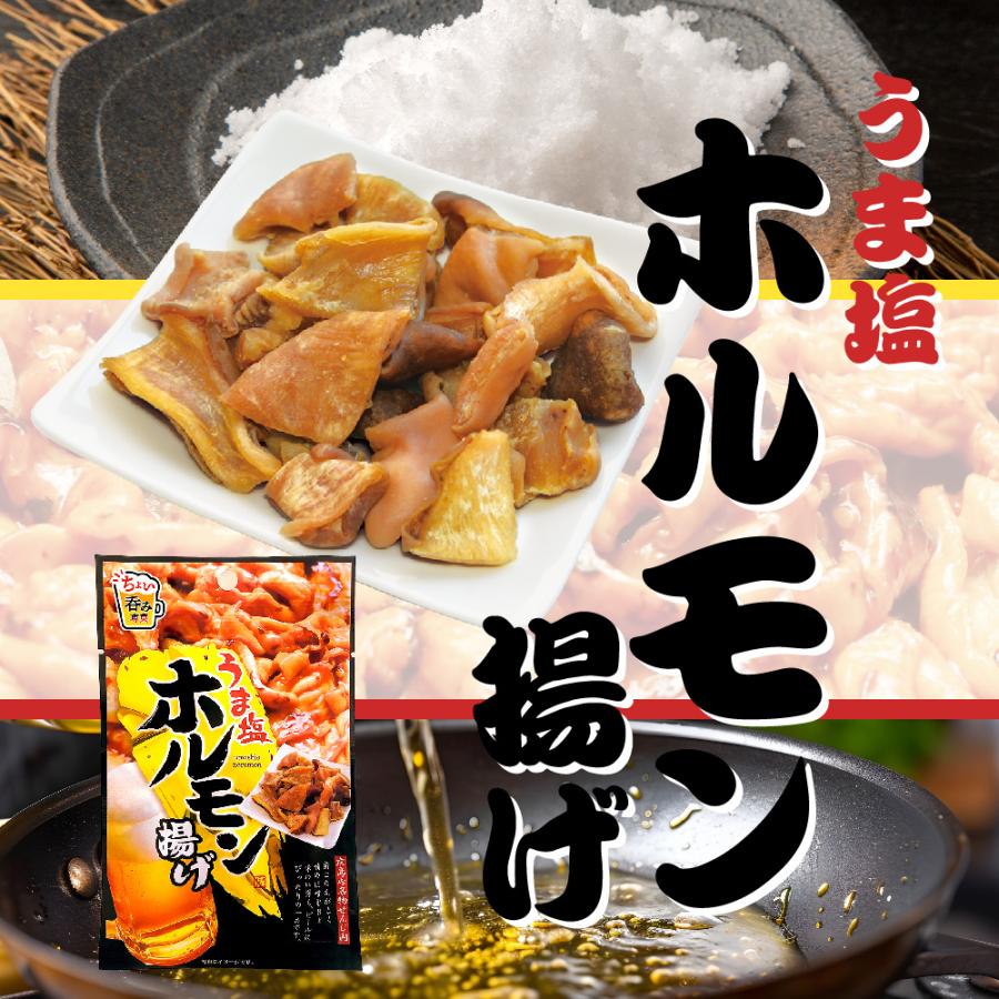 MDホールディングス おつまみ 宅飲み ホルモン 塩 お菓子 6袋セット