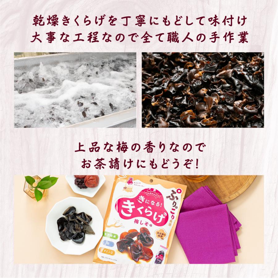 MDホールディングス おつまみ 珍味 お菓子 きくらげ 梅しそ味 2袋