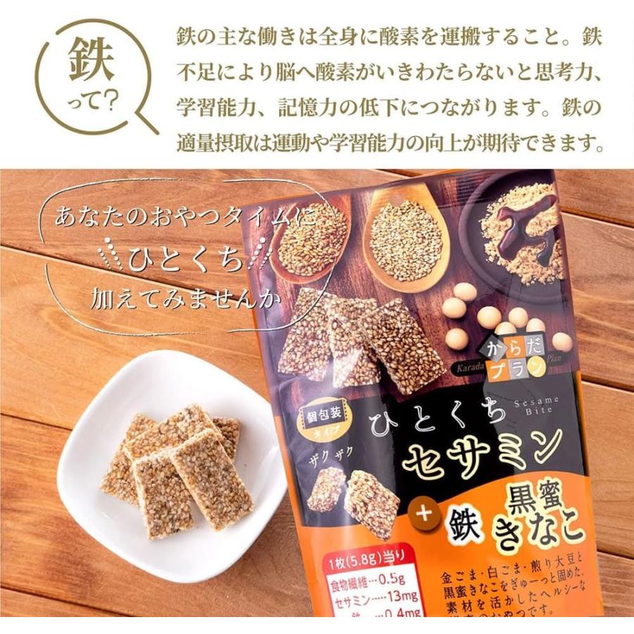 MDホールディングス お菓子 大容量 お買い得 徳用 ごま菓子 おこし 個