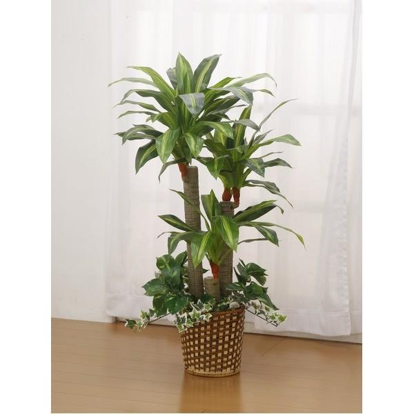 インテリアグリーン 人工観葉植物 2点セット ベンジャミン 幸福の木 光触媒加工 幹 天然木使用 代引不可 Www Regenerationcongo Com