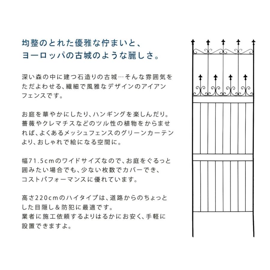 ガーデンフェンス おしゃれ フェンス diy 庭 柵 鉄製 埋め込み 低め アイアン ガーデン 鉄 ミニ ディスプレイ インテリア ガーデニング｜mdmoko｜03