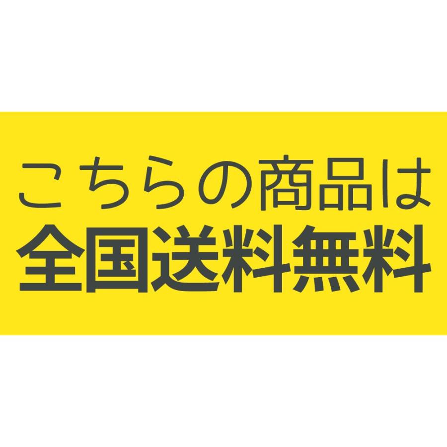 カーサイドシェルター 小川キャンパル OGAWA CAMPAL テント キャンプ アウトドア ルーフ オガワ シェルター2 シェルターII｜mdnmadonna｜06