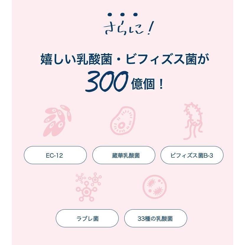 スベルティ スマート菌スーパー 14粒 4袋セット ボタニカルカプセル