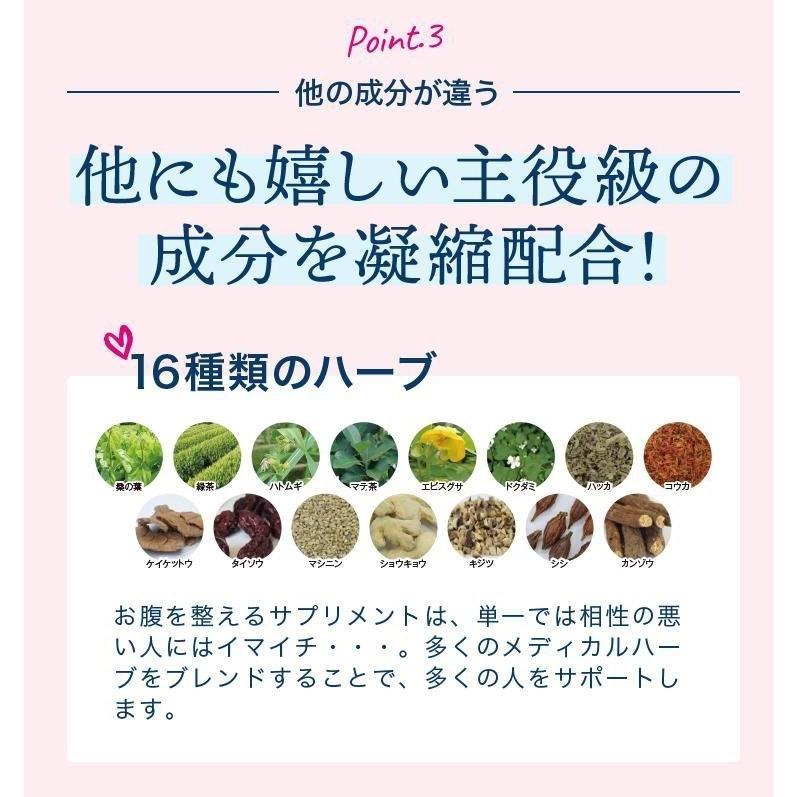 スベルティ スマート菌スーパー 14粒 4袋セット ボタニカルカプセル