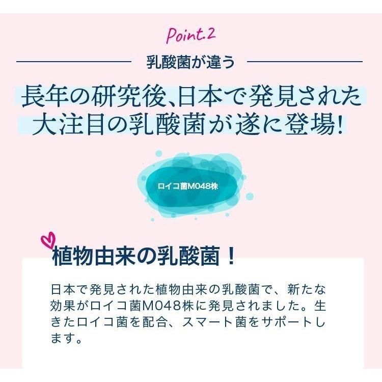 スベルティ スマート菌スーパー 14粒 4袋セット ボタニカルカプセル