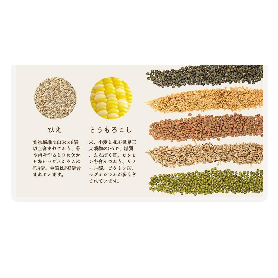 半額 送料無料 もがな 完全栄養食カレー3食セット レトルト 完全食 管理栄養士監修 完全栄養食 健康食品 Mogana 0002 もがな Yahoo ショッピング店 通販 Yahoo ショッピング