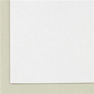 (まとめ) 今村紙工 ボール紙 B5 TTM10-B5 1パック(10枚) 〔×50セット〕_1
