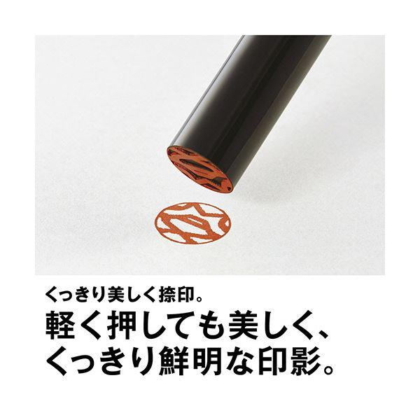 マックス 瞬乾朱肉プレミオ 60号SA-6004PSカミバコ 1セット(10個)_3