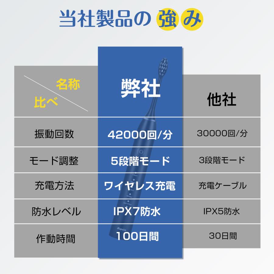電動歯ブラシ ギフト 歯ブラシ 音波式 IPX7防水 42000回転/分