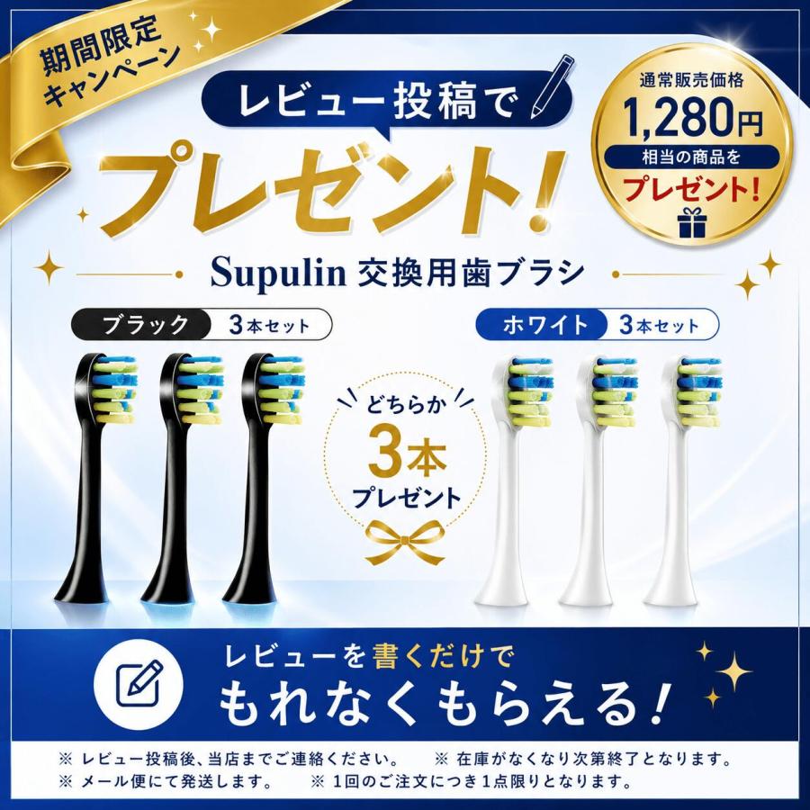 電動歯ブラシ ギフト 歯ブラシ 音波式 IPX7防水 42000回転/分