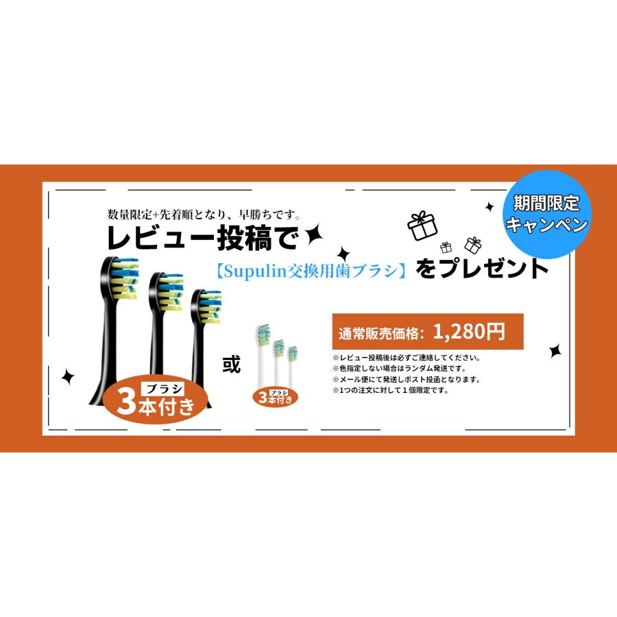 電動歯ブラシ ギフト 歯ブラシ 音波式 IPX7防水 42000回転/分