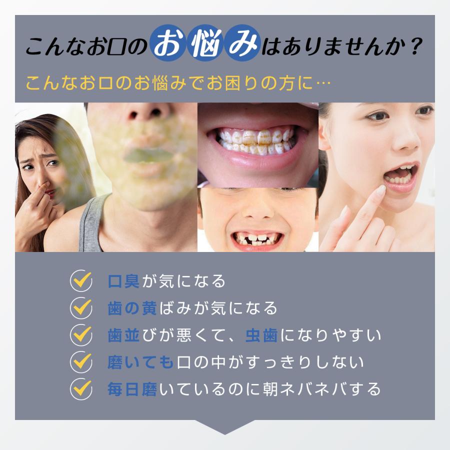 電動歯ブラシ ギフト 歯ブラシ 音波式 IPX7防水 42000回転/分