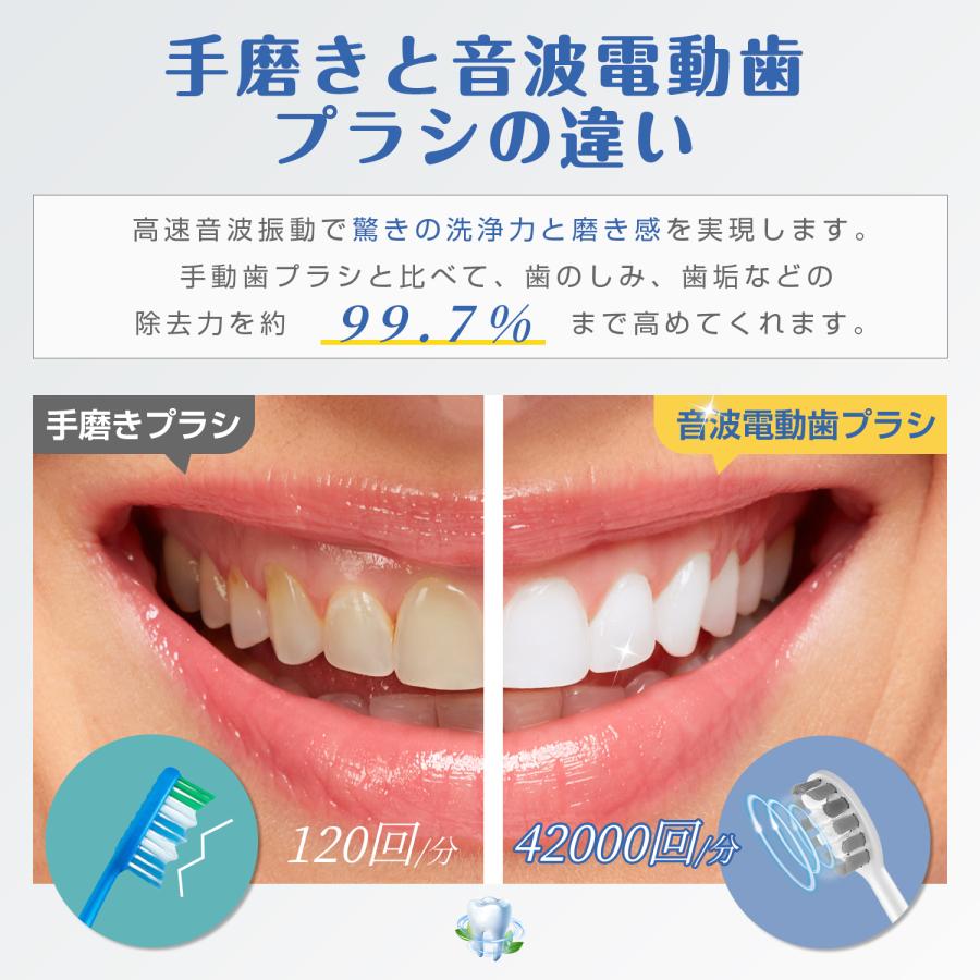 電動歯ブラシ ギフト 歯ブラシ 音波式 IPX7防水 42000回転/分