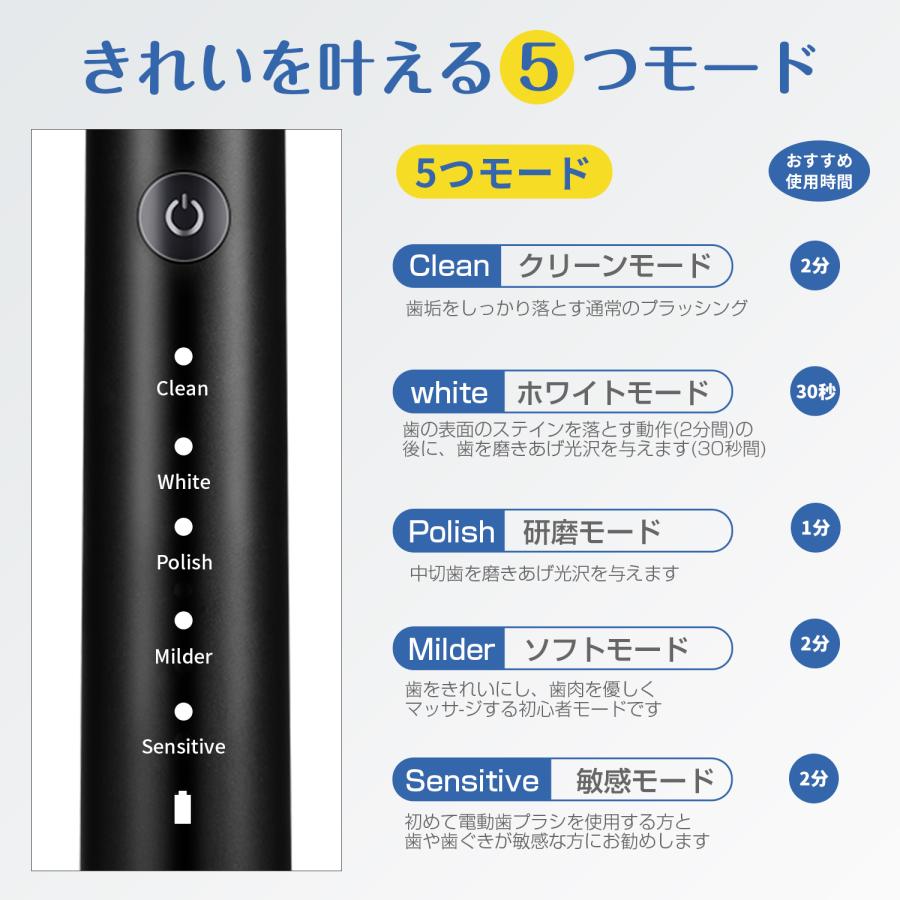 電動歯ブラシ ギフト 歯ブラシ 音波式 IPX7防水 42000回転/分
