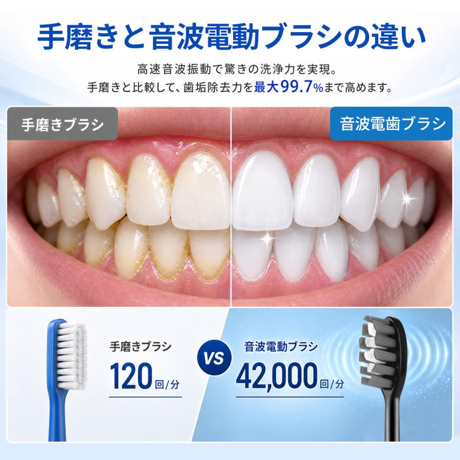 電動歯ブラシ ギフト 歯ブラシ 音波式 IPX7防水 42000回転/分