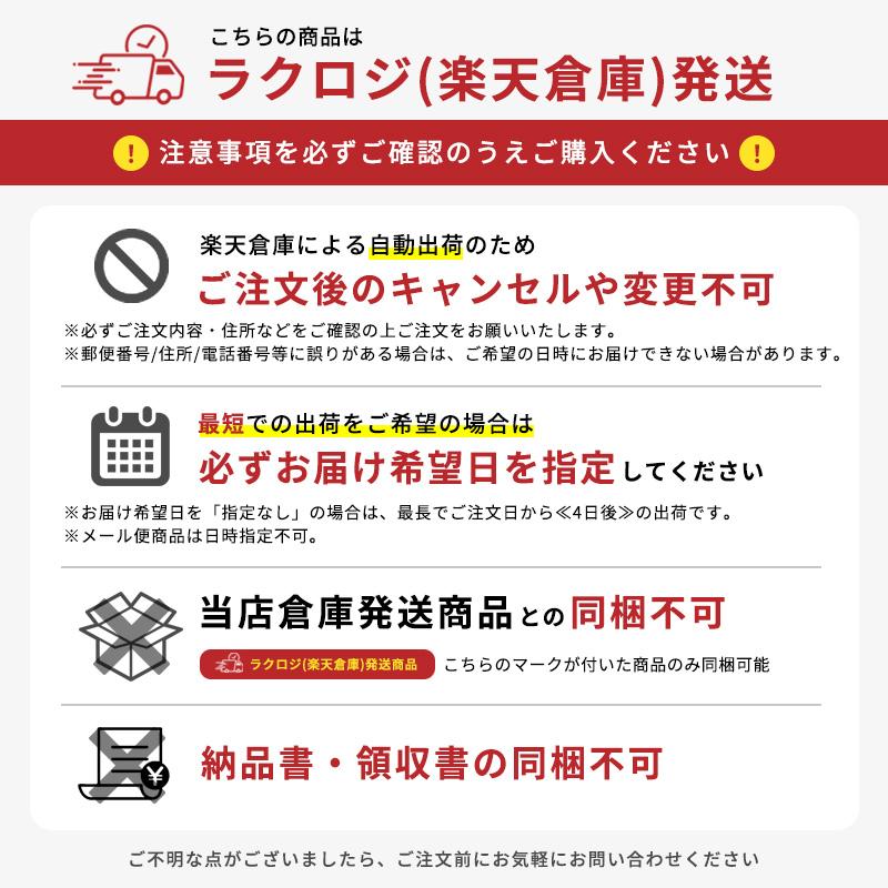 ショウワノート 筆箱 小学校 男子 女子 シンプル 無地 両面 ペンケース 
