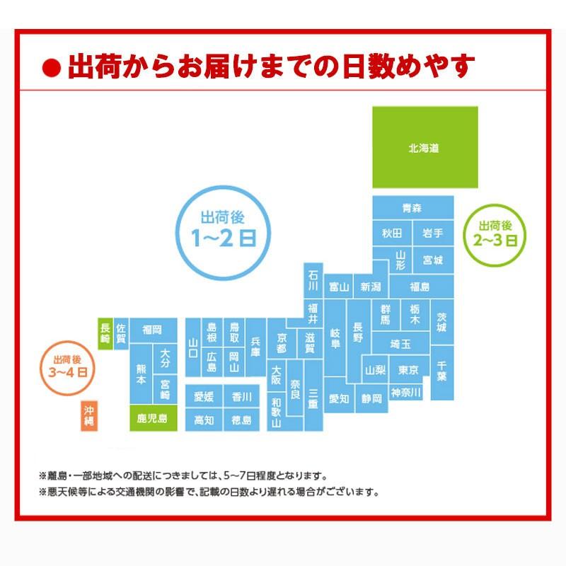 ジョージア ジャパンクラフトマン コーヒー 微糖 500ml ペットボトル 24本 飲料 ドリンク コーラ コカコーラ コカ コーラ社 メーカー直送 宅配便 送料無料 Cc 135 948 ミ エストン 通販 Yahoo ショッピング
