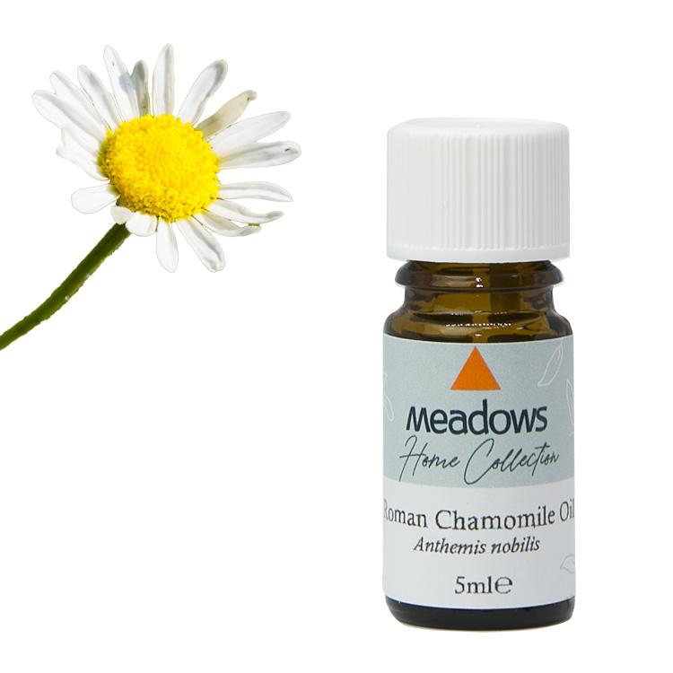 カモミール（ローマン） 2ml | メドウズ ホームコレクションエッセンシャルオイル　 |  | 01