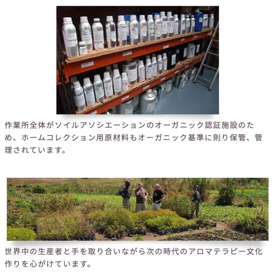 サイプレス 10ml | メドウズ ホームコレクションエッセンシャルオイル |  | 06