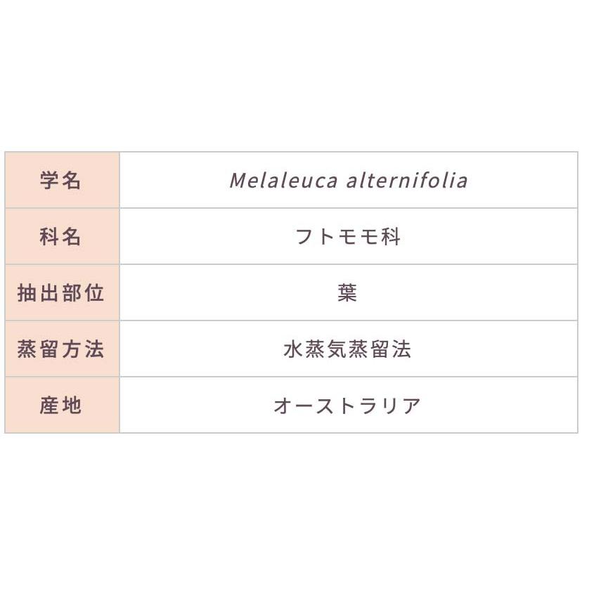 ティートリー 10ml | メドウズ ホームコレクションエッセンシャルオイル |  | 15