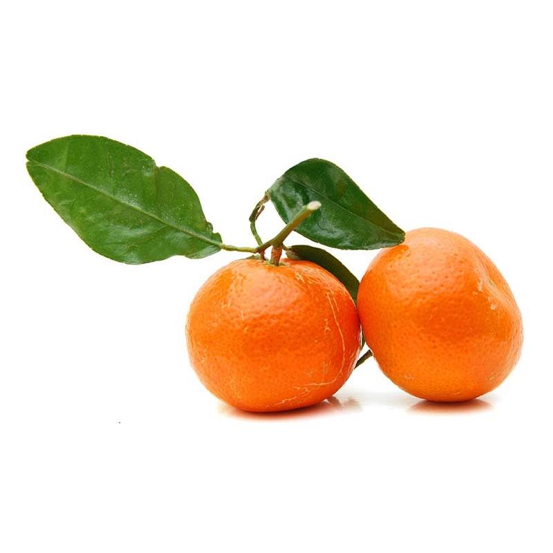 マンダリン（レッド） 10ml | メドウズ ホームコレクションエッセンシャルオイル |  | 14