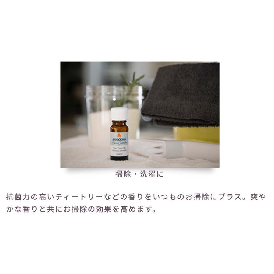 ヤロー 2ml | メドウズ ホームコレクションエッセンシャルオイル　 |  | 08