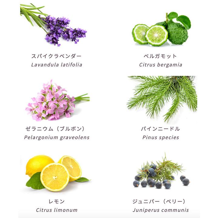 リフレッシュ&クレンズ｜Refresh & Cleanse｜デッドシーソルト 300ml |  | 01