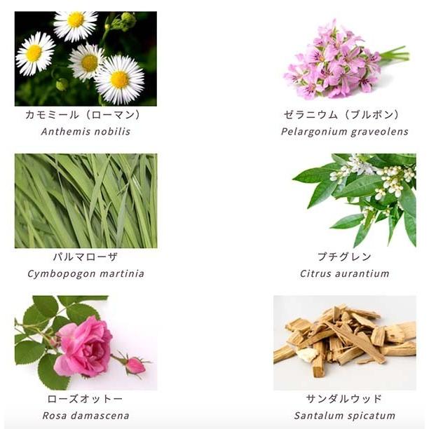 ローズ&ゼラニウム｜Rose & Geranium｜デッドシーソルト 300ml |  | 01