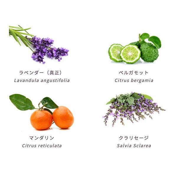 リラックス｜Relax｜デッドシーソルト 300ml |  | 01