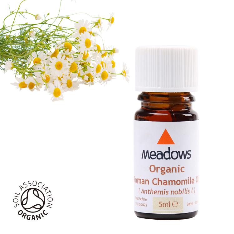 ローマンカモミール カモミール（ローマン）｜Chamomile Roman｜オーガニック