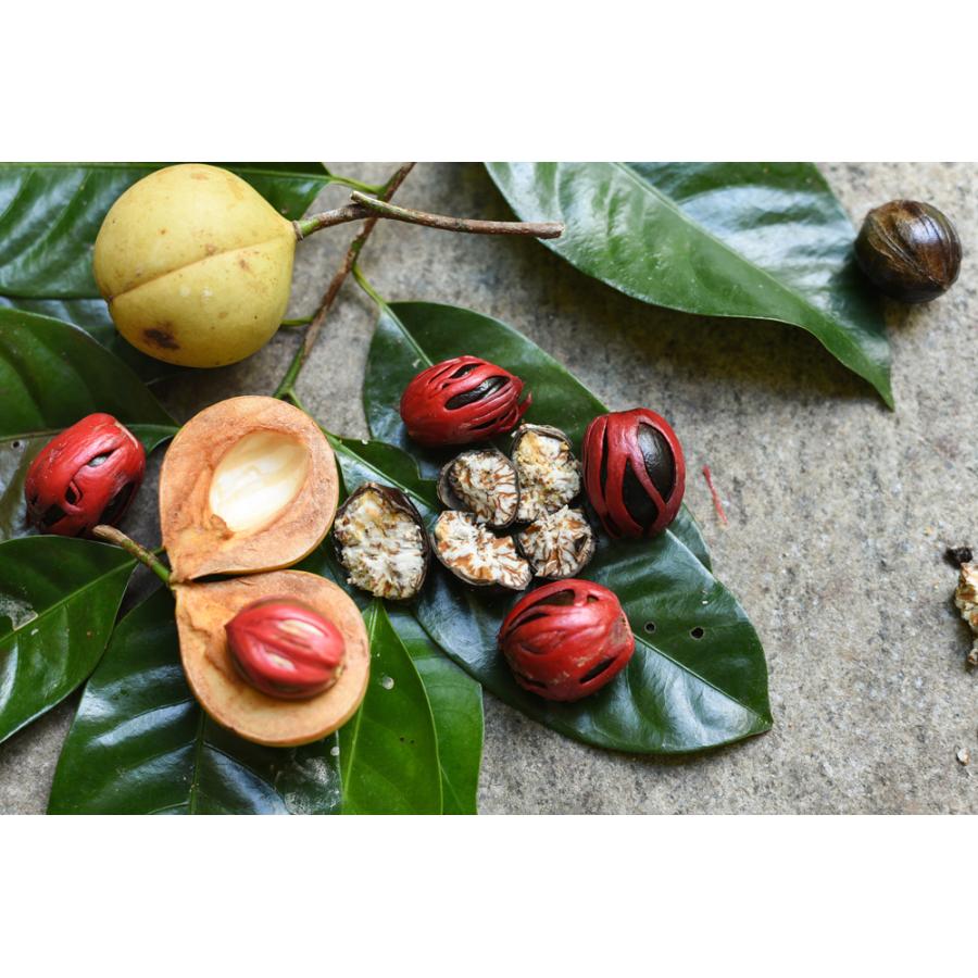 ナツメグ Nutmeg オーガニックエッセンシャルオイル 5ml Meog40 メドウズ公式オンラインショップ 通販 Yahoo ショッピング