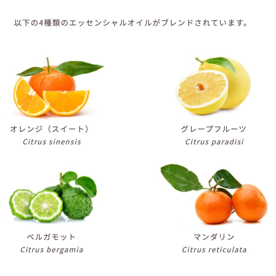 ホームミスト シトラスガーデン |  | 03