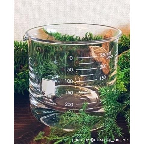 ビーカーロックグラス 250ml (2個) Periodic Tableware ビーカーグラス |  | 04