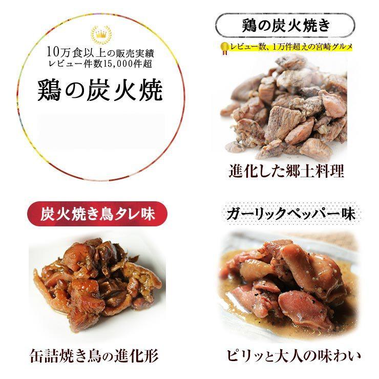 簡易包装 訳あり食品 お肉のおつまみ 焼き鳥 鶏の炭火焼き 100g×3 セット 宮崎名物 送料無料 レトルト食品 常温保存 珍味 お取り寄せグルメ｜meat-21｜11