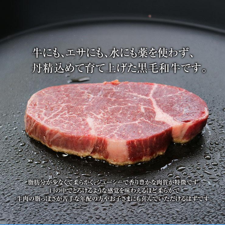 お歳暮 御歳暮 ギフト 2025 肉 牛肉 有田牛 ヒレステーキ 150ｇ×2枚 冷凍 国産牛 宮崎県産 黒毛和牛 抗生物質 遺伝子組換え飼料 ホルモン剤不使用 |  | 01