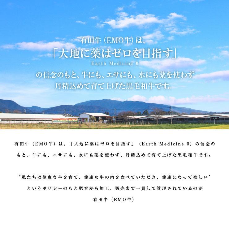 お歳暮 御歳暮 ギフト 2025 肉 牛肉 有田牛 ヒレステーキ 150ｇ×4枚 冷凍 国産牛 宮崎県産 黒毛和牛 抗生物質 遺伝子組換え飼料 ホルモン剤不使用 |  | 02