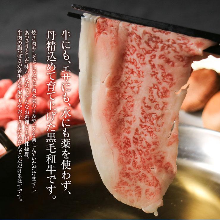 お歳暮 御歳暮 プレゼント ギフト 2025 肉 牛肉 贈り物 有田牛 すき焼き すき焼き肉 しゃぶしゃぶ ローススライス  500ｇ 冷凍 |  | 01
