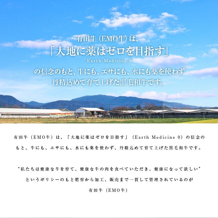 お歳暮 御歳暮 プレゼント ギフト 2025 肉 牛肉 贈り物 有田牛 すき焼き すき焼き肉 しゃぶしゃぶ ローススライス  500ｇ 冷凍 |  | 02